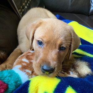 Meet your Posher, Nathan